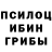 Галлюциногенные грибы GOLDEN TEACHER Ded Obivan