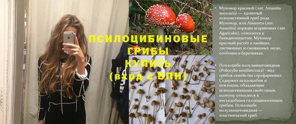 стафф Баксан