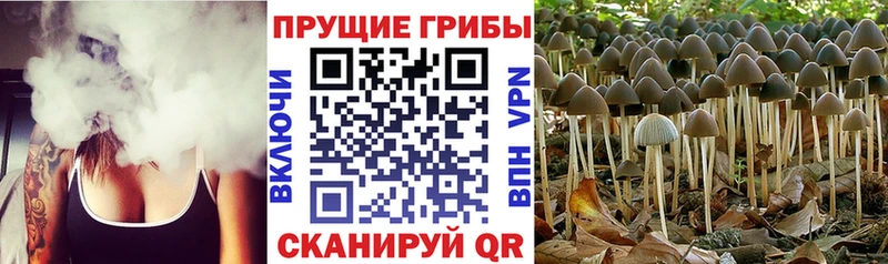 Галлюциногенные грибы Psilocybine cubensis  ОМГ ОМГ как зайти  Верхнеуральск  цены  